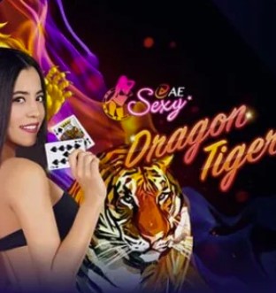 AE Sexy Dragon Tiger Live